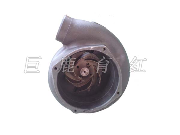 TR100 Water pump 3635807